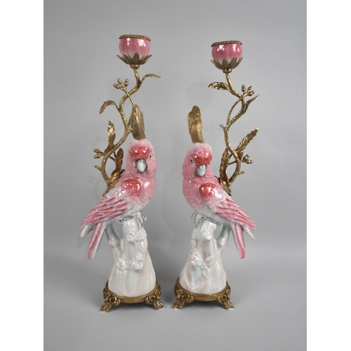 64 - A Pair of Gilt Bronze and Porcelain Freestanding Candlesticks in the Form of Cockatiels, 42cms High