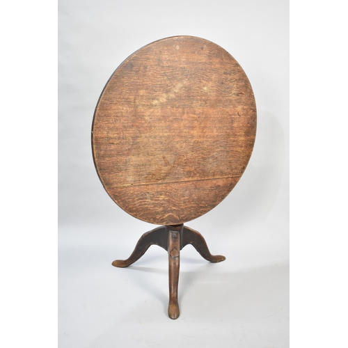 556 - A 19th Century Oak Snap Top Tripod Table, 79cm Diameter