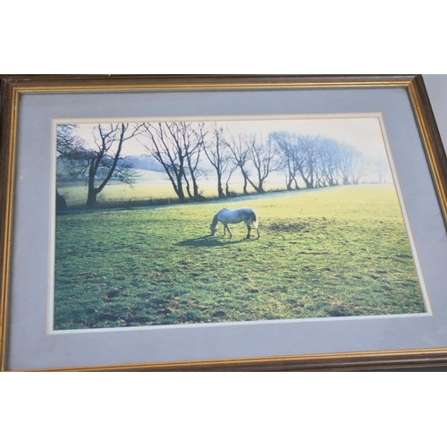 241 - Three Framed Photographs to include Shropshire Bowlers Open Handicap 1916