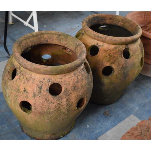 468 - A Pair of Terracotta Urn Shaped Strawberry Planters, 40cms Diameter and 45cms High