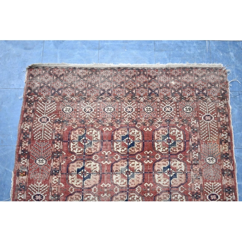 554 - A Vintage Patterned Rug, 168x105cms