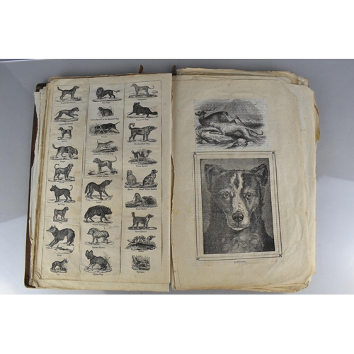 213 - An Early 19th Century Leather Bound Artist's Folio Containing Paintings, Engravings, Drawings Sketch... 