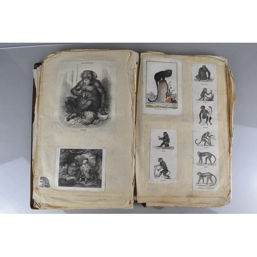 213 - An Early 19th Century Leather Bound Artist's Folio Containing Paintings, Engravings, Drawings Sketch... 