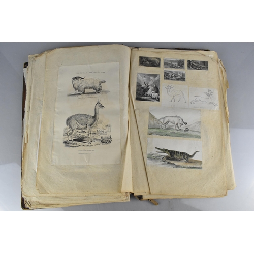 213 - An Early 19th Century Leather Bound Artist's Folio Containing Paintings, Engravings, Drawings Sketch... 