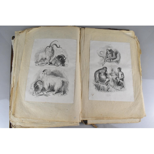 213 - An Early 19th Century Leather Bound Artist's Folio Containing Paintings, Engravings, Drawings Sketch... 