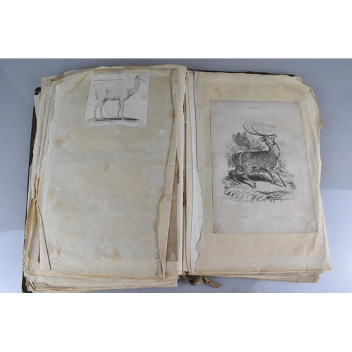 213 - An Early 19th Century Leather Bound Artist's Folio Containing Paintings, Engravings, Drawings Sketch... 