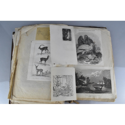 213 - An Early 19th Century Leather Bound Artist's Folio Containing Paintings, Engravings, Drawings Sketch... 