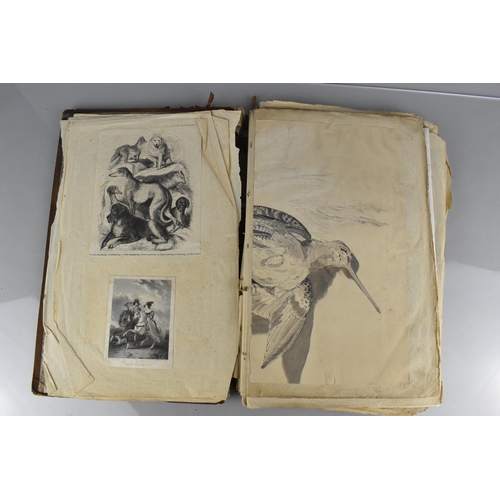 213 - An Early 19th Century Leather Bound Artist's Folio Containing Paintings, Engravings, Drawings Sketch... 