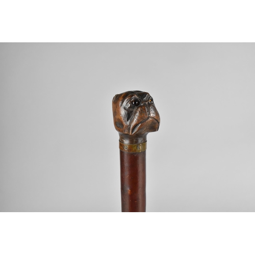 62 - A 19th Century Treen Page Tuner with Carved Bulldog Head Finial with Glass Eyes and Metal Mounted Co... 