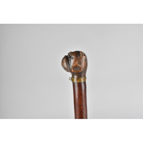 62 - A 19th Century Treen Page Tuner with Carved Bulldog Head Finial with Glass Eyes and Metal Mounted Co... 