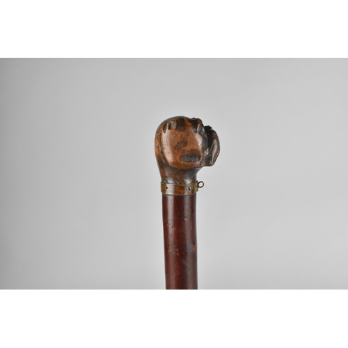 62 - A 19th Century Treen Page Tuner with Carved Bulldog Head Finial with Glass Eyes and Metal Mounted Co... 