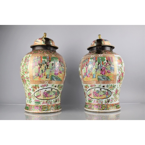 225 - A Large Pair of 18th/19th Century Qing Dynasty Chinese Porcelain Vase Decorated in the Famille Rose ... 