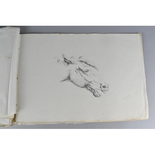 214 - A 19th Century Sketch Book Containing a Number of Sketches Circa 1830 to Include Birds, Horses and B... 