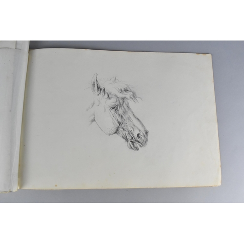 214 - A 19th Century Sketch Book Containing a Number of Sketches Circa 1830 to Include Birds, Horses and B... 