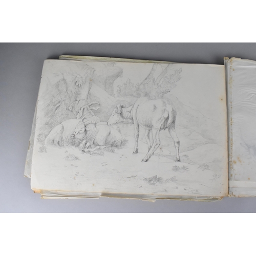 214 - A 19th Century Sketch Book Containing a Number of Sketches Circa 1830 to Include Birds, Horses and B... 