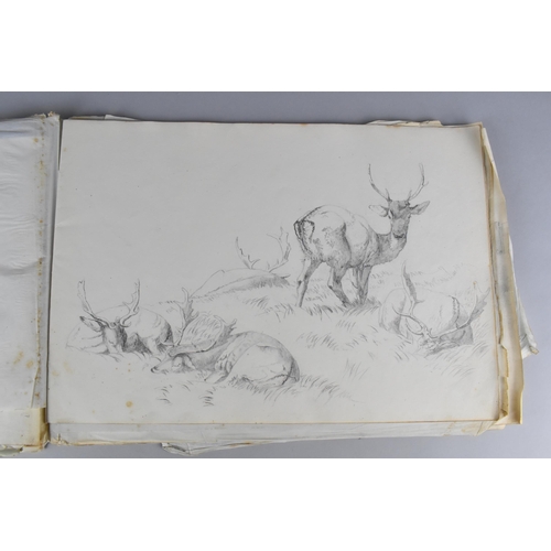 214 - A 19th Century Sketch Book Containing a Number of Sketches Circa 1830 to Include Birds, Horses and B... 