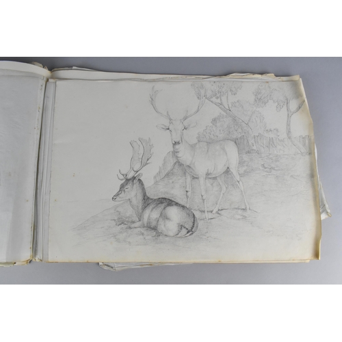 214 - A 19th Century Sketch Book Containing a Number of Sketches Circa 1830 to Include Birds, Horses and B... 