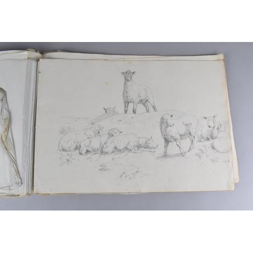 214 - A 19th Century Sketch Book Containing a Number of Sketches Circa 1830 to Include Birds, Horses and B... 