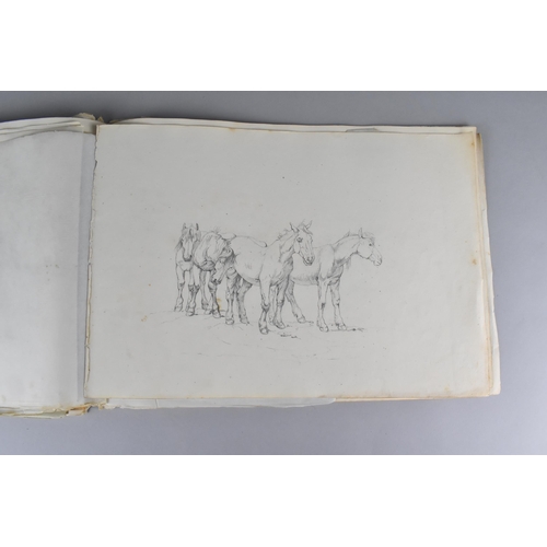 214 - A 19th Century Sketch Book Containing a Number of Sketches Circa 1830 to Include Birds, Horses and B... 