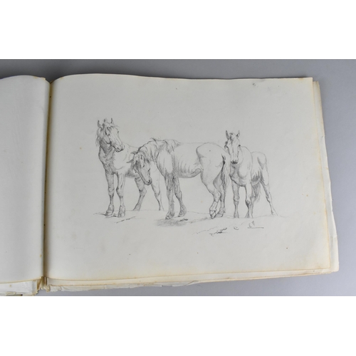 214 - A 19th Century Sketch Book Containing a Number of Sketches Circa 1830 to Include Birds, Horses and B... 