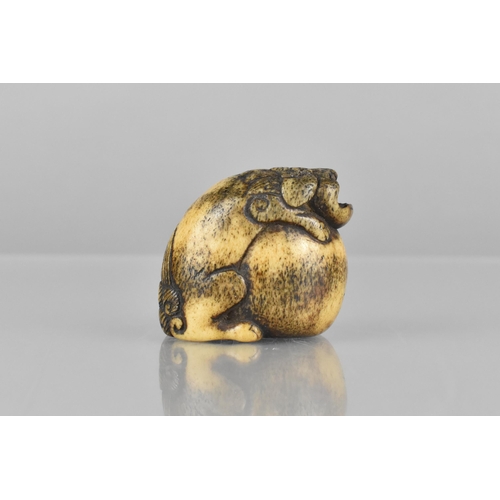 A 19th Century Carved Bone Netsuke in the Form of a Temple Lion on Ball ...