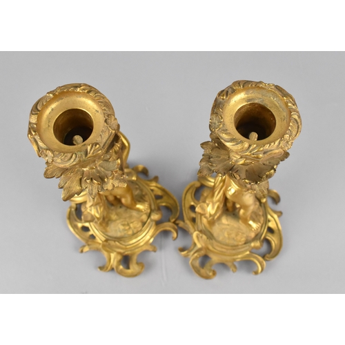 205 - A Pair of 19th Century Gilt Bronze Candlesticks Modelled with Classical Cherubs Supporting Acanthus ... 