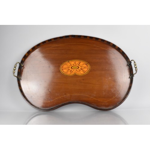 13 - A Late Victorian Inlaid Kidney Shaped Tray with Two Brass Handles, 59cm wide