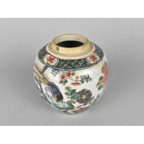 285 - A Chinese Qing Dynasty Ginger Jar Decorated in the Famille Verte Palette with Bird on Rock with Blos... 