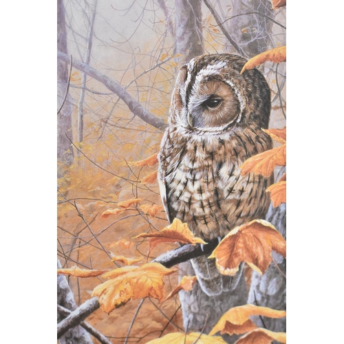 347 - A Framed Limited Edition Print, Colours of Autumn by Jeremy Paul, Signed and Numbered 310/395, 13x43... 