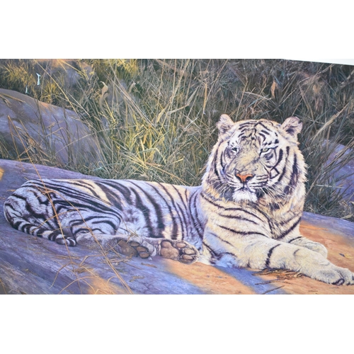 363 - A Large Framed Anthony Gibbs Limited Edition Print, The Great White Tiger, Proof Stamp, 1173/1500, 7... 