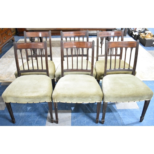 549 - A Set of Six Mahogany Framed Dining Chairs