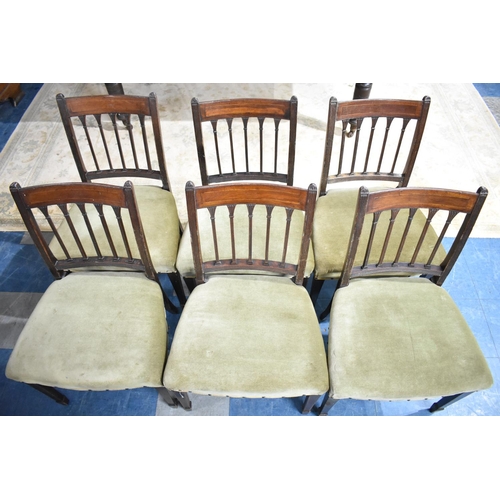 549 - A Set of Six Mahogany Framed Dining Chairs