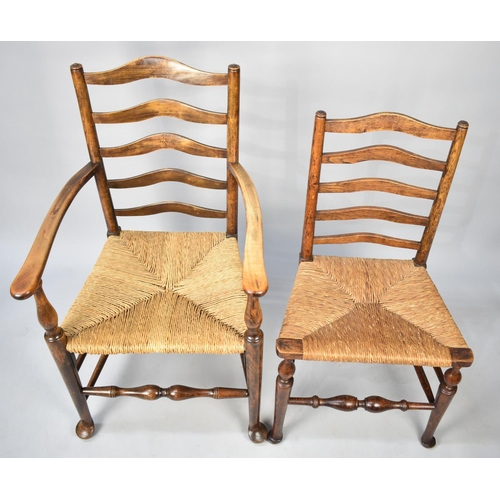 554 - A Set of Six Modern Rush Seated Ladder Back Chairs to Include One Carver