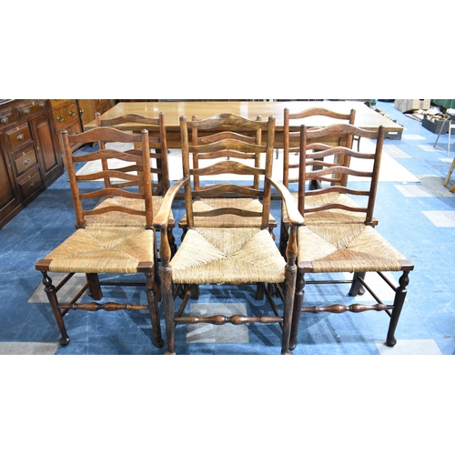 554 - A Set of Six Modern Rush Seated Ladder Back Chairs to Include One Carver