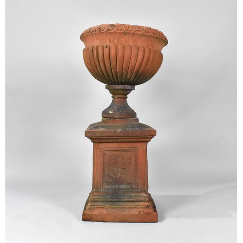 412 - A Terracotta Garden Urn on Plinth Base of Campagna Form, the Urn with Moulded Leaf Design Rim Over L... 