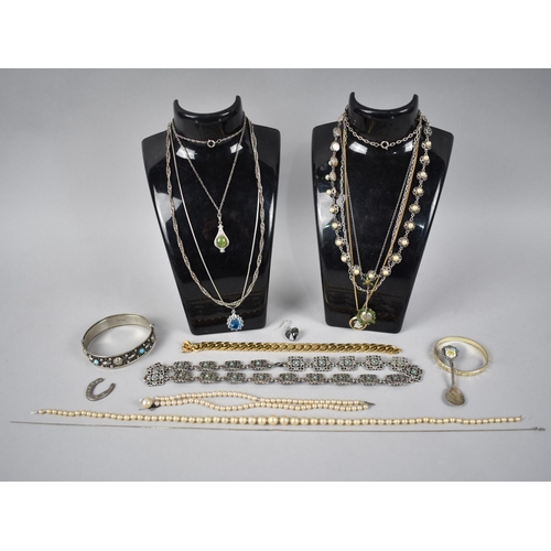 301 - A Collection of Various Costume Jewellery etc