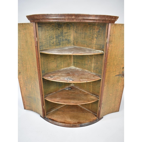 555 - A 19th Century Bow Fronted Wall Hanging Oak Corner Cupboard, 78cms Wide and 108cms High