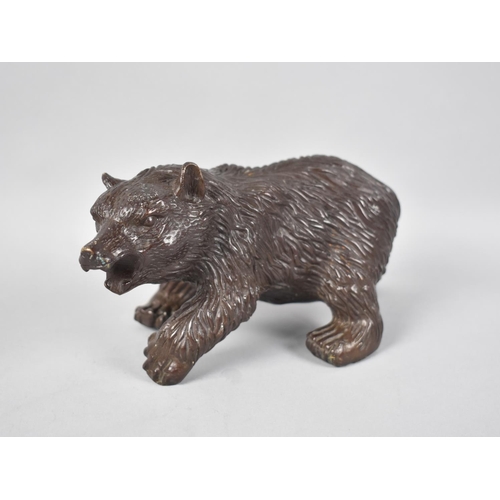 63 - A Painted Bronze Study of a Snarling Brown Bear, 21cms  Long