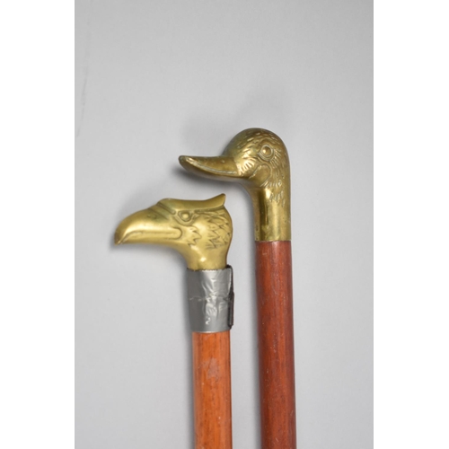 129 - Two Late 20th Century Walking Canes with Brass Handles, Phoenix and Duck