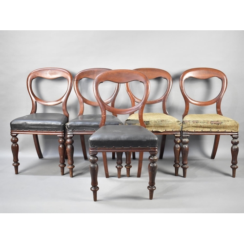 600 - A Set of Five Victorian Mahogany Framed Balloon Back Dining Chairs