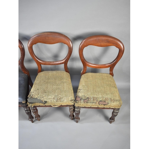 600 - A Set of Five Victorian Mahogany Framed Balloon Back Dining Chairs