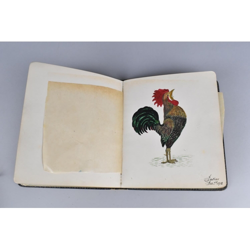 65 - A 1917 Autograph Book Containing Poems , Drawings and Watercolours