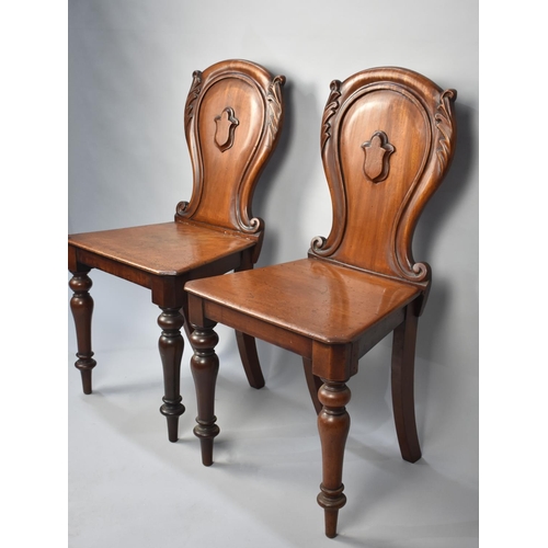 84 - A Pair of Victorian Mahogany Hall Chairs with Shield Moulded Backs