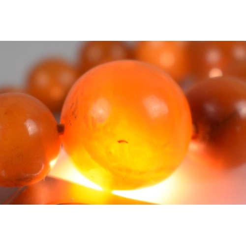 236 - A String of Graduated Spherical Egg Yolk Amber Beads, Late 19th/Early 20th Century, Largest 16.4mm D... 