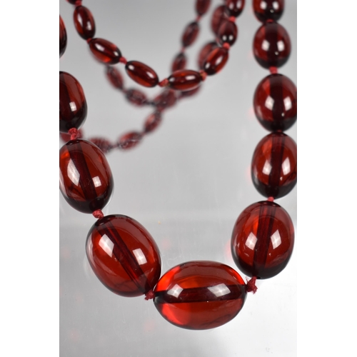 230 - A Long String of 58 Cherry Bakelite Beads, Largest 30mm Long by 21mm High, Smallest 13mm by 8mm, App... 