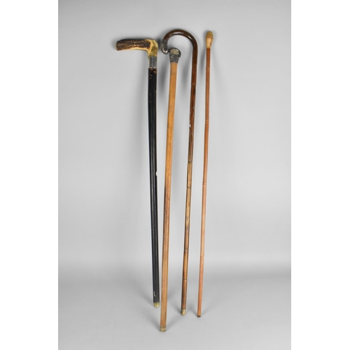 236 - A Collection of Various Walking Sticks including two with Silver Mounts Although All with Condition ... 