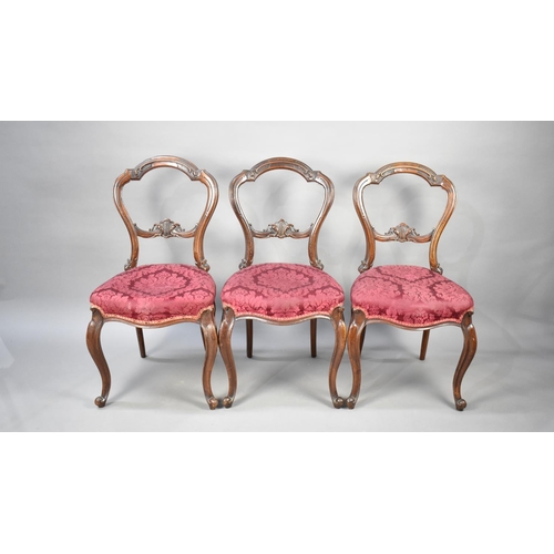 485 - A Set of Three Victorian Carved Mahogany Balloon Back Side Chairs