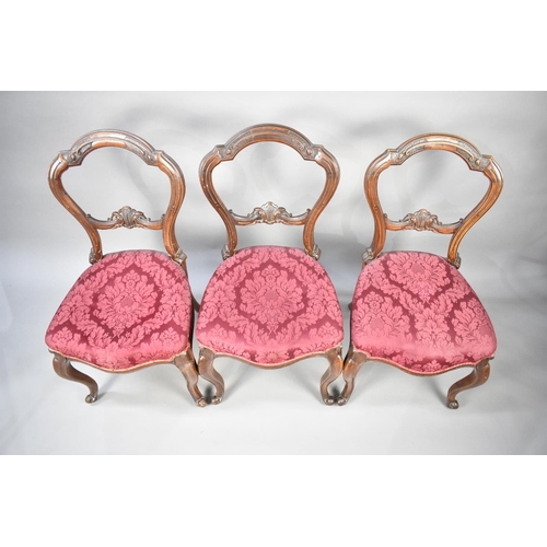 485 - A Set of Three Victorian Carved Mahogany Balloon Back Side Chairs