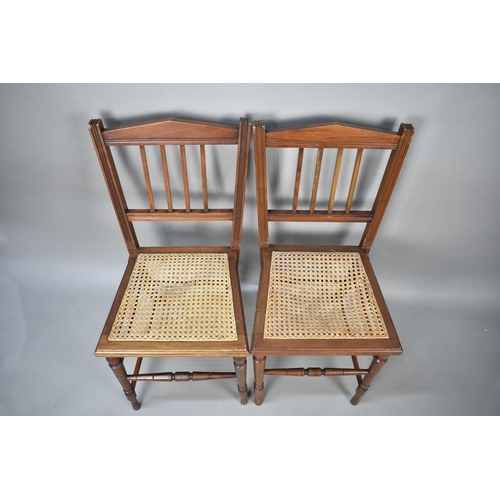 486 - A Pair of Mid 20th Century Cane Seated Side Chairs