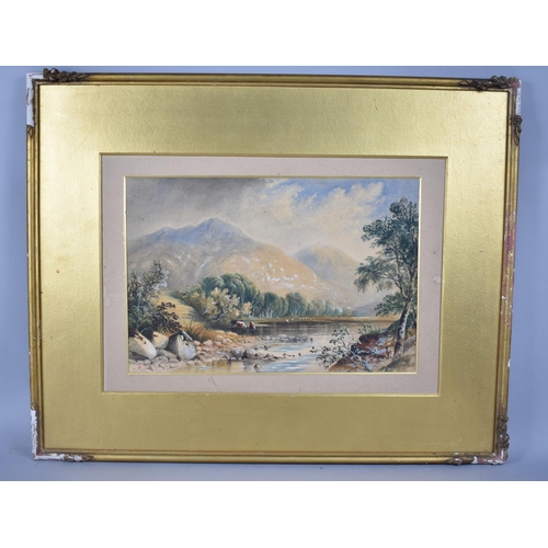 164 - A Framed but Unglazed Watercolour Depicting Highland River Scene with Cattle, 34x23cms